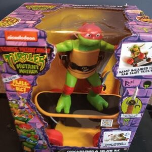 Teenage Mutant Ninja Turtles Skateboarding Action Figure